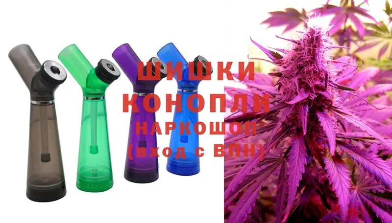 Каннабис SATIVA & INDICA  как найти наркотики  Яровое 